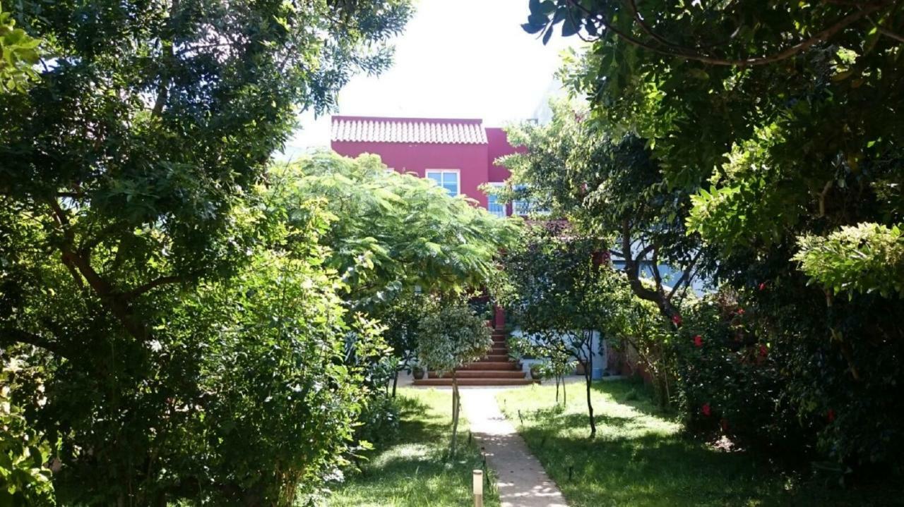 Casa El Tonelero Con Jardin Y Piscina Privada Villa Gáldar Exteriör bild